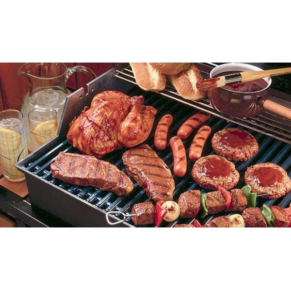 THD220 Infrared Mini Gas Burner BBQ Grill Ceramic Burner 220*170*60mm