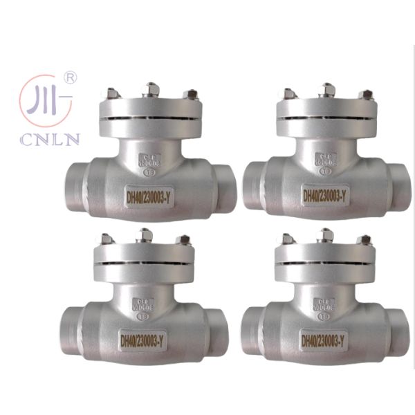 CF3/CF8 Cryogenic Check Valve For LNG/LOX/LN2/LAR/LCO2