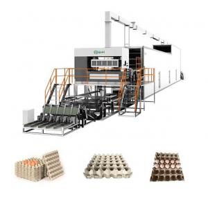 Quality Automatic Plastic Egg Tray Making Machine High Capacity ISO9001 for sale