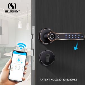 Quality APP WIFI Fingerprint Apartment Electric Bluetooth Gate Locks for sale