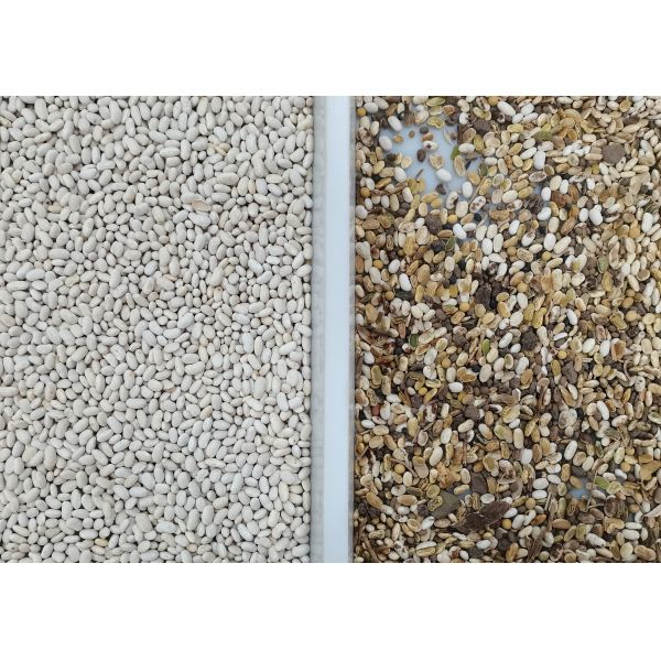 10 Chutes White Bean Grain Color Sorter 5400 Pixel RGB