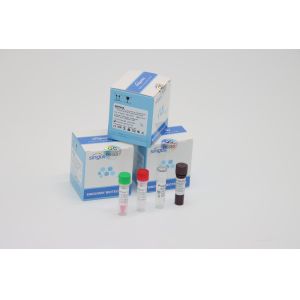 Quality Lab Using RT PCR Covid Test Kits Clinical LP Virus PCR Media Dual Swab Sample Kit for sale