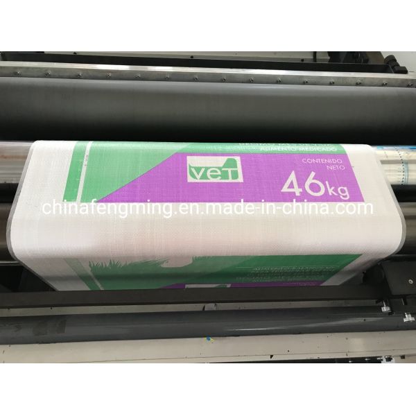 Unit Type 4/5/6/7/8 Color Flexography CE Approved Flexible Packaging Printing Machine