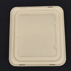 Directly supplied by Chinese manufacturers. Disposable environmentally friendly