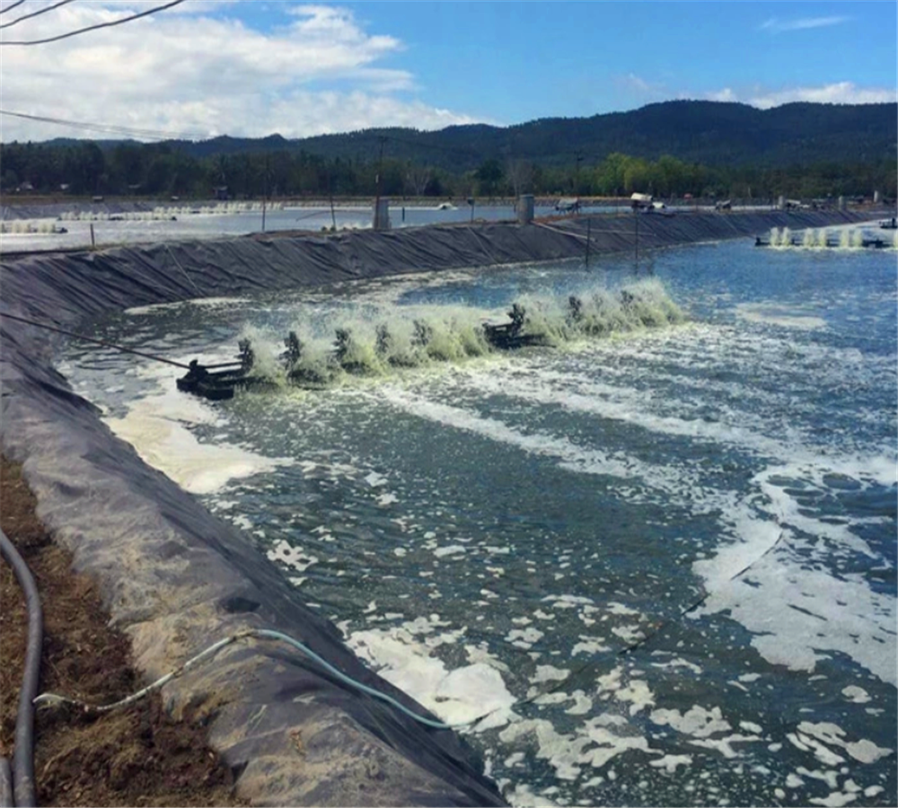 Length 50m-200m/roll HDPE Geomembrane for Landfill Fish Pond and Dam Liner at Best