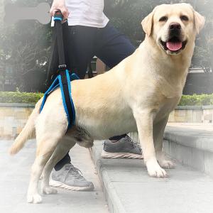 China Nylon Pet Leg Support Belt Rear Leg Disability Injury High Aged Dog Stair Auxiliary on sale