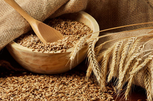 Intelligent Automatic Barley Color Sorter Grains Grading Sorting Machine Factory Price