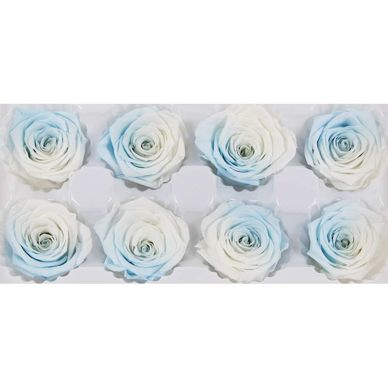4-5cm Pink Preserved Roses In A Box Long Lasting