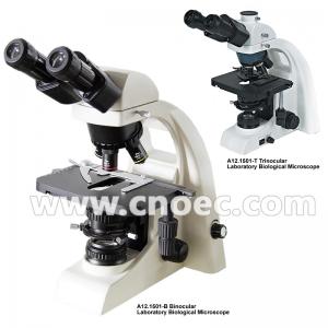 Quality Laboratory Compound Optical Microscope Halogen Illumination Microscopes A12.1501 for sale