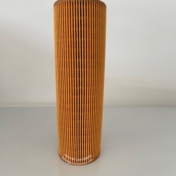 2022275 Lube Car Oil Filter Customized 1742032 1742037 2037556 2022275