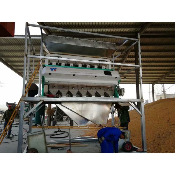 Latest Market Price CCD LED Chickpea Beans Color Sorter Popular in the USA