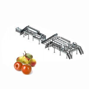 Quality 65 - 72 Brix Machine Fruit Juice Apple Processing Line With Self CIP System for sale