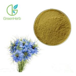 Quality Seed Part Black Cumin Extract / Nigella Sativa Extract Brown Yellow Powder for sale