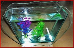 Quality Mini Fish Tank Fishdom Desktop Decoration home decoration handwork crafts glass aquarium for sale