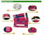 Adhesive Self Sealing Custom Printing Colorful Poly Mailers Shipping Envelopes