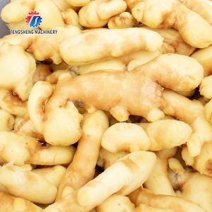 Leaves Vegetables Onions Leafy vegetables Cabbage varieties Herbs Fruiting