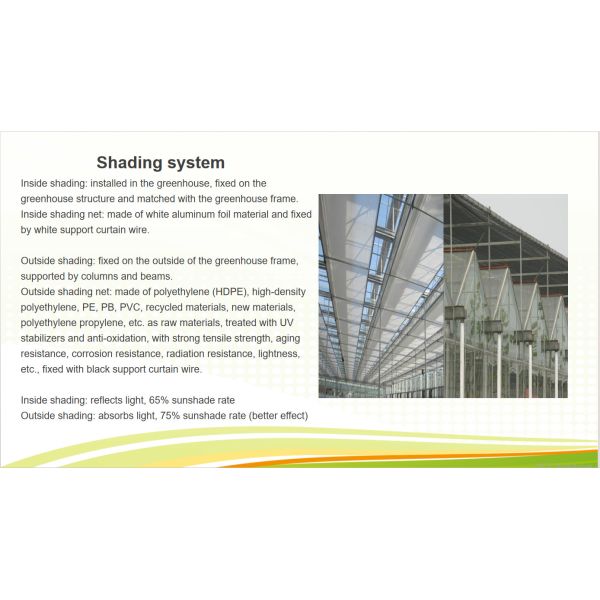 Rectangular Large Commercial Greenhouse Multispan Agricultural Greenhouse