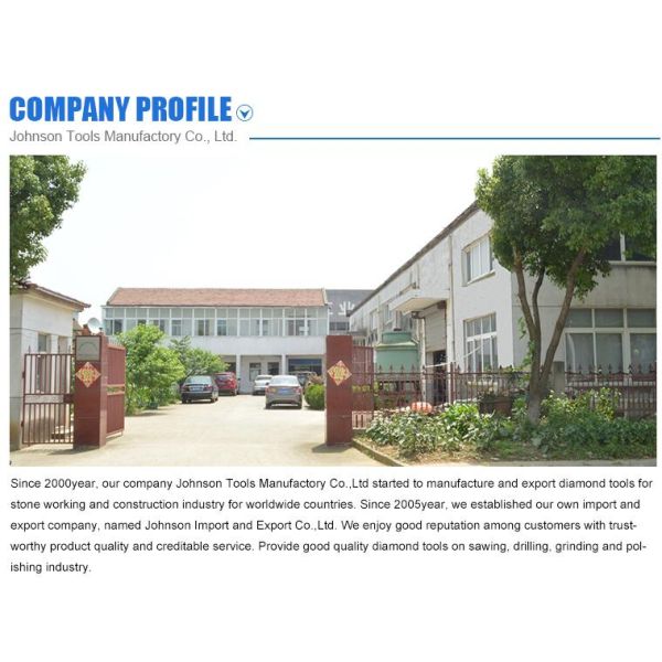 Double Row Diamond Grinding Wheel For Fast Grinding Mid Hard Concrete