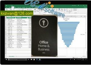 Quality PC And MAC Office 2019 Professional Plus Key Global Activation FPP Key for sale