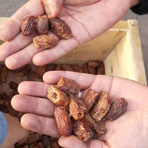 Removing Core Peach Olive Fruit Pitting Machine