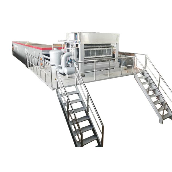 Egg Packaging Paper Tray Machine 2m hight ROHS Certified Pulp Molding