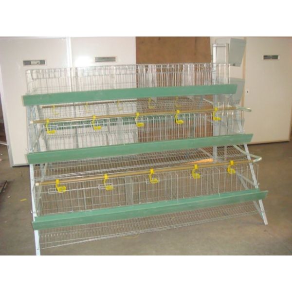 Automated Poultry Farm Accessories 3 4 Tier Poultry Chicken Egg Layer Battery