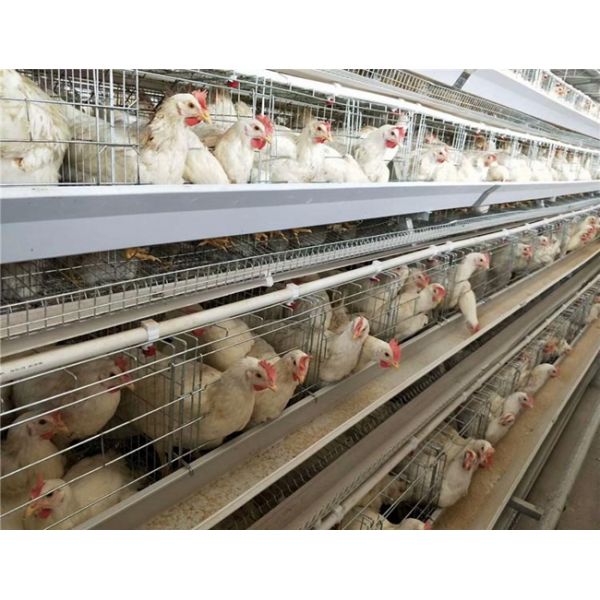 40 Electrodes Fence Mesh Welding Machine 2M width 80 Times / Min