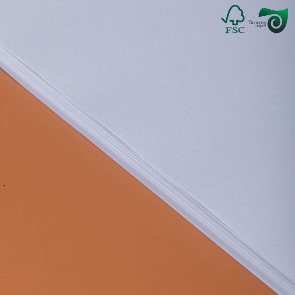 75gsm 80gsm Cream Bond Paper FSC With Smooth Finish For Book Text Publishing 8.5" 11"