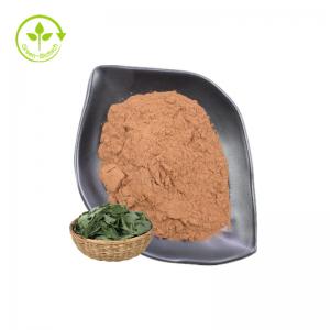 Quality Natural Food Grade Epimedium Leaf Extract Powder Supplement Herbal Epimedium Extract Icariin for sale