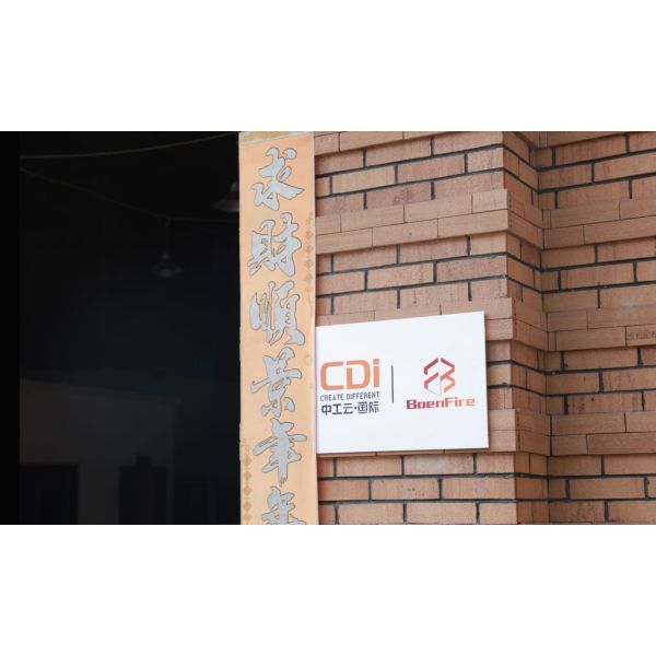 CDINDUSTRY ( INTERNATIONAL ) . INC