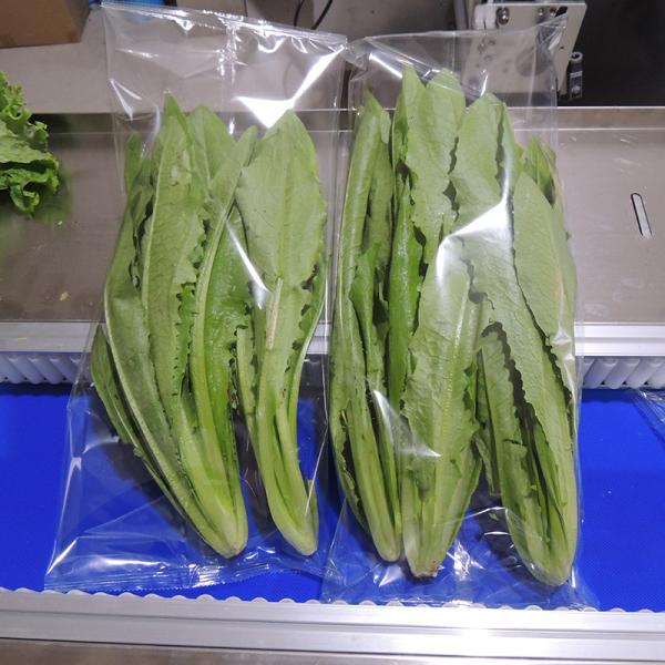 Electric PLC Control Multi Function Packaging Machine Pillow Bag Wrapper Sealing Machine