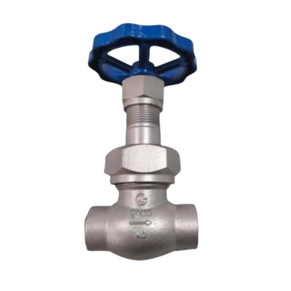 Sort stem LN2 DN25 Cryogenic Socket Weld Globe Valve DJ61F-40P for LNG/LOX/LN2/LAR/LCO2