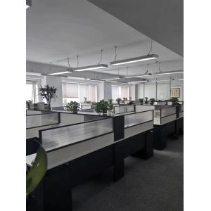 Henan Zhun Sheng Trade Co., Ltd.