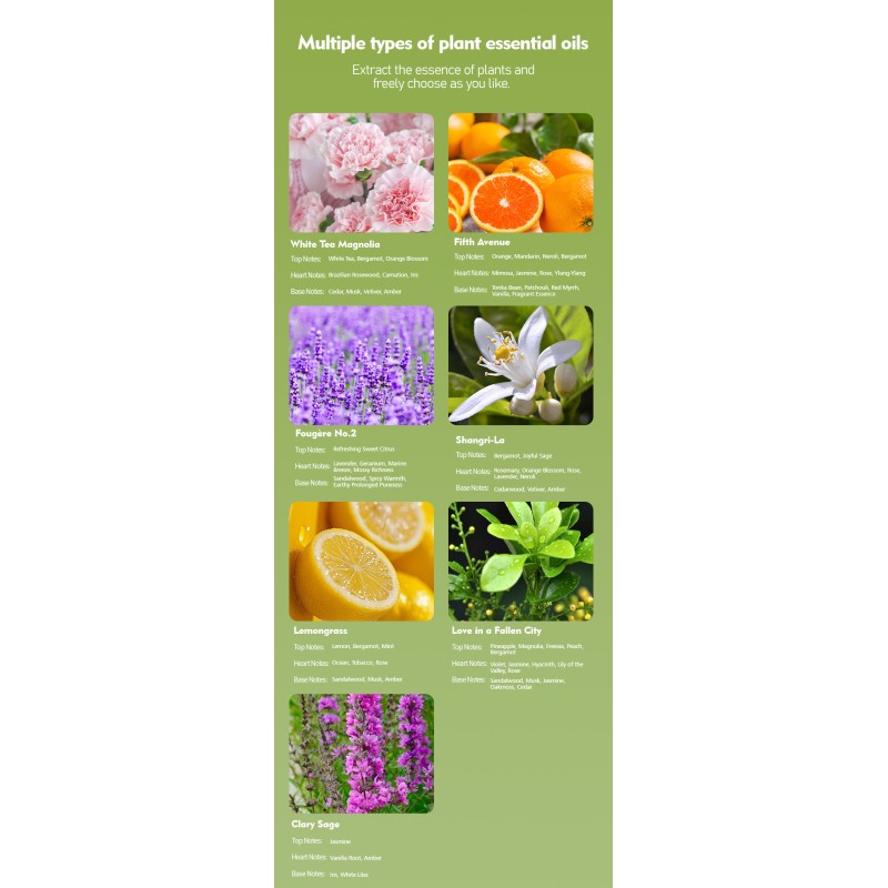 Eco Friendly Aromatherapy Box Wall Mounted 10 - 50 Ml Capacity Long Lasting Aroma Diffuser