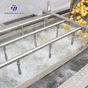 Leaves Vegetables Onions Leafy vegetables Cabbage varieties Herbs Fruiting