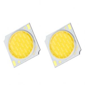 Quality 24 watt  1919 series led cob chips  white color  Mirror alu EPISTAR chip led cob for led downlight for sale