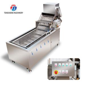 Quality 2.6KW Fruit and vegetable cleaning and processing equipment automatic washing machine conveyor belt bubble cleaning mach for sale
