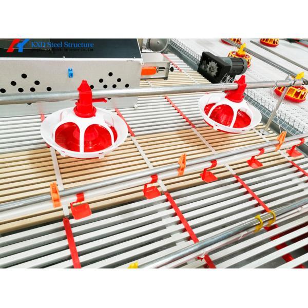 Automatic Equipment Chicken Layer Cages Hot Dip Galvanized Steel Material