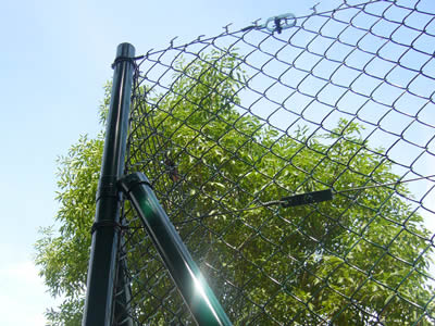 Made In QY TOP factory price metal steel coated galvanized powder coated menards lowes Chain link fence