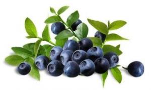 China Bilberry Extract, Aronia Extract,  blueberry extract, mulberry extract, cranberry extract,  anthocyanidin, antioxidant on sale