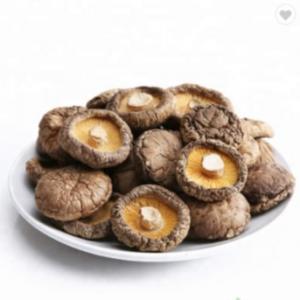 Quality Healthy Dry Shiitake Mushroom 1kg Smooth Surface 2 Years Shelf Life for sale