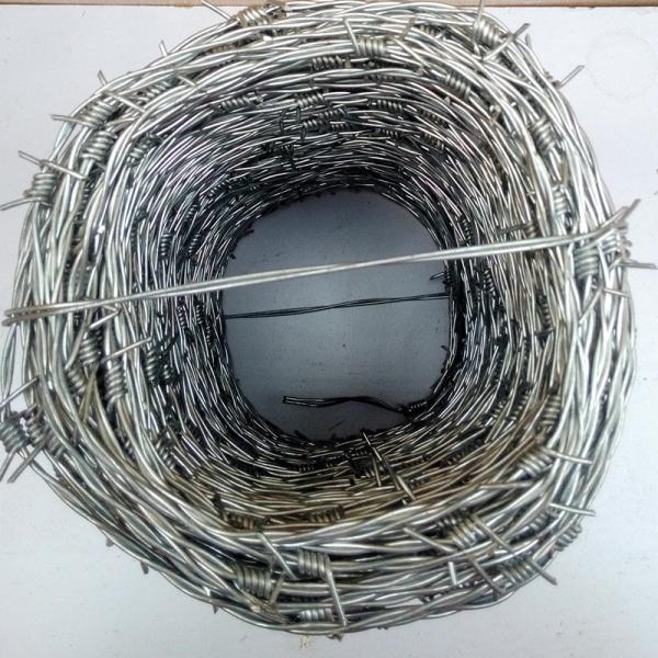 Galvanized Reverse Twist Barbed Wire Fence Hot Dip Galvanized BWG14xBWG14
