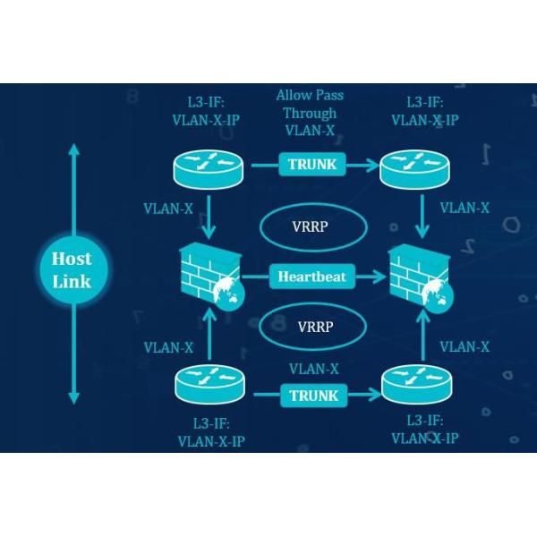 NetTAP® IDS / WAF NPB Network Traffic Replicate to Protect your Network Security by Virus Protection