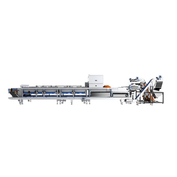 Large Output 380V Intelligent Dates Sorting Machine With 360 Degree Rotational Scanning