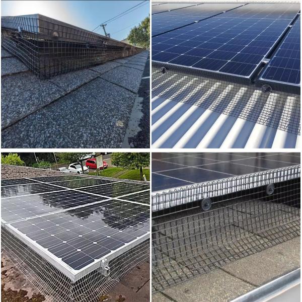 Square Long Hole Pvc Coated Wire Mesh 1/ 4 Inch 0.8mm-3mm Free Samples Available