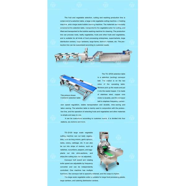 Automatic Vegetable And Fruit Production Line Selection Cutting And Washing Machine