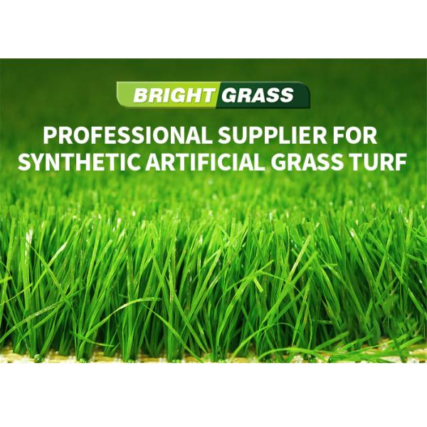 Detex 8800 Fireproof Artificial Grass Turf Wall Backdrop 30mm No Toxic