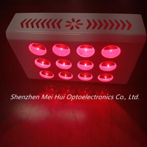 Quality 40W PDT Red Light Therapy Machines Anti Aging Decrease Inflammation for sale