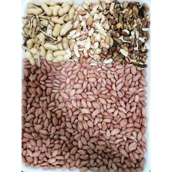 FPGA Chip CCD Peanut Color Sorting Machine walnut Pecan Kernel Color Sorter Machine
