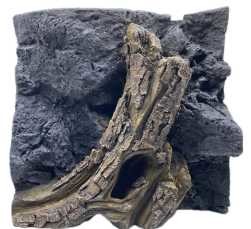 beautiful Reptile Enclosure Background Realistic Reptile Rock Background